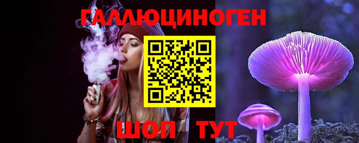 Псилоцибиновые грибы Psilocybine cubensis Одинцово